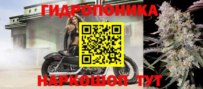 шишки Шебекино