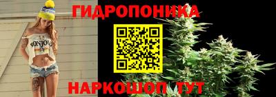 MDMA Шелехов